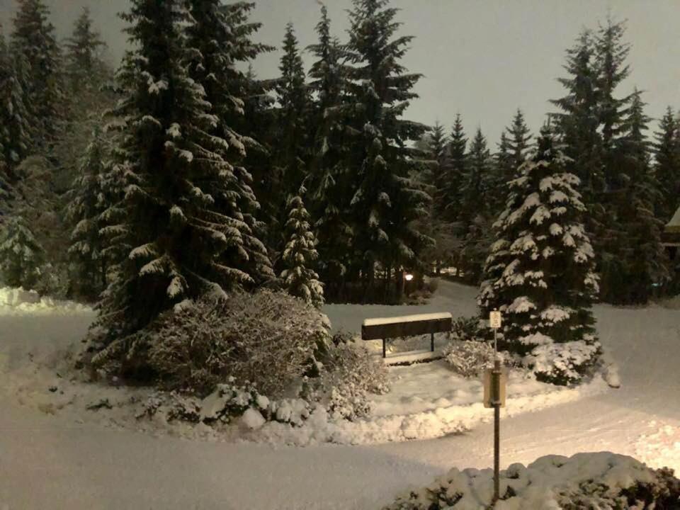 Powderhorn By Whistler Blackcomb Vacation Rentals Екстериор снимка